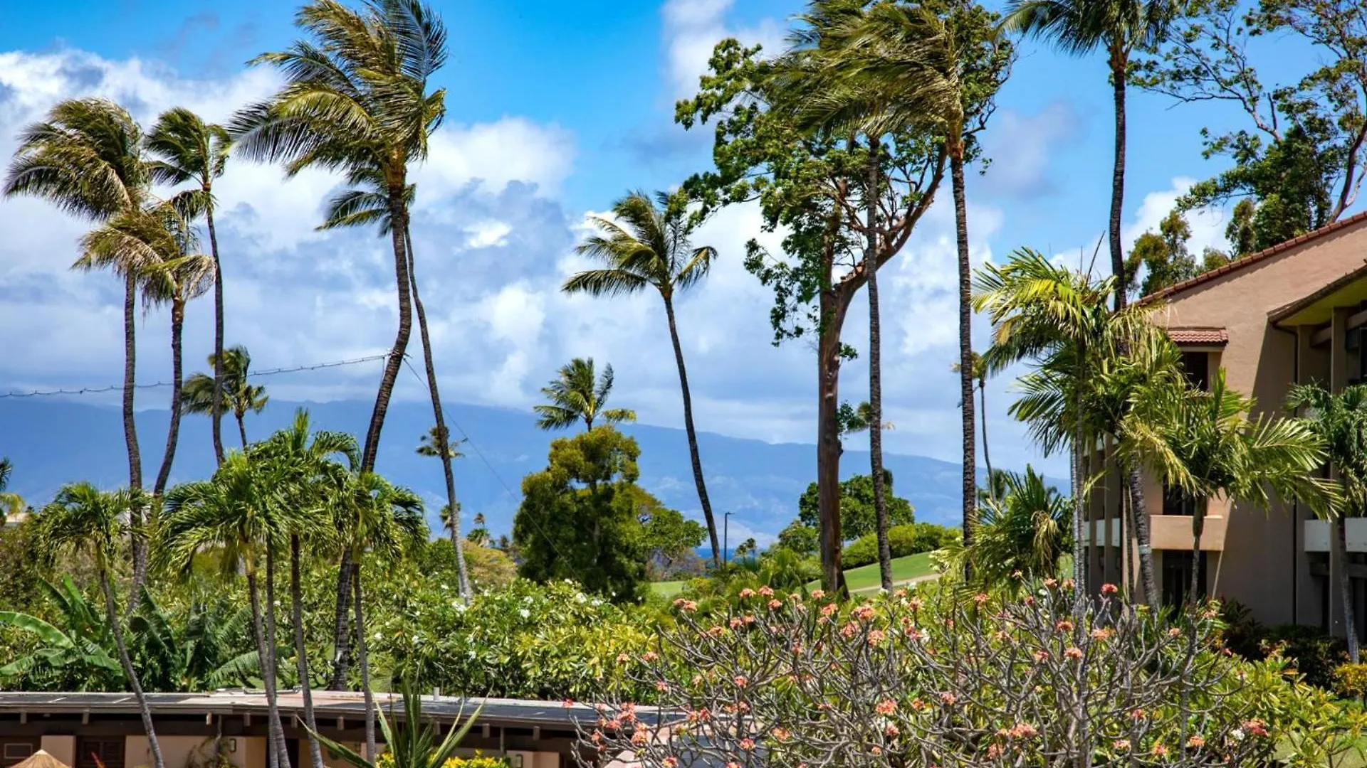 Apartment Kbm Resorts Free Car Kaanapali Royal Kro-G201 Island Inspired Gem